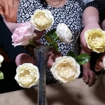 yellowroses